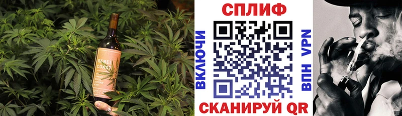 Canna-Cookies конопля  Купить закладки  Курчалой 