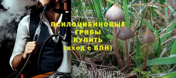 экстази Вяземский