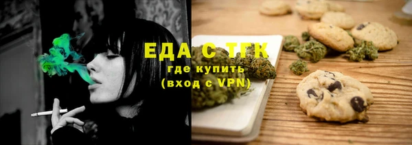 индика Горняк