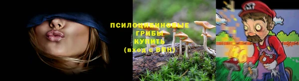 экстази Вяземский