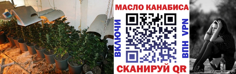 Купить закладки  Курчалой  Дистиллят ТГК концентрат 