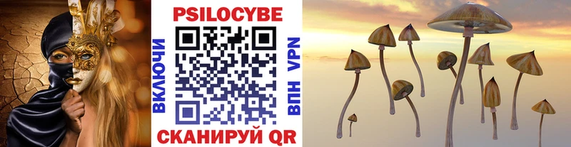 Купить  Курчалой  Галлюциногенные грибы Cubensis 